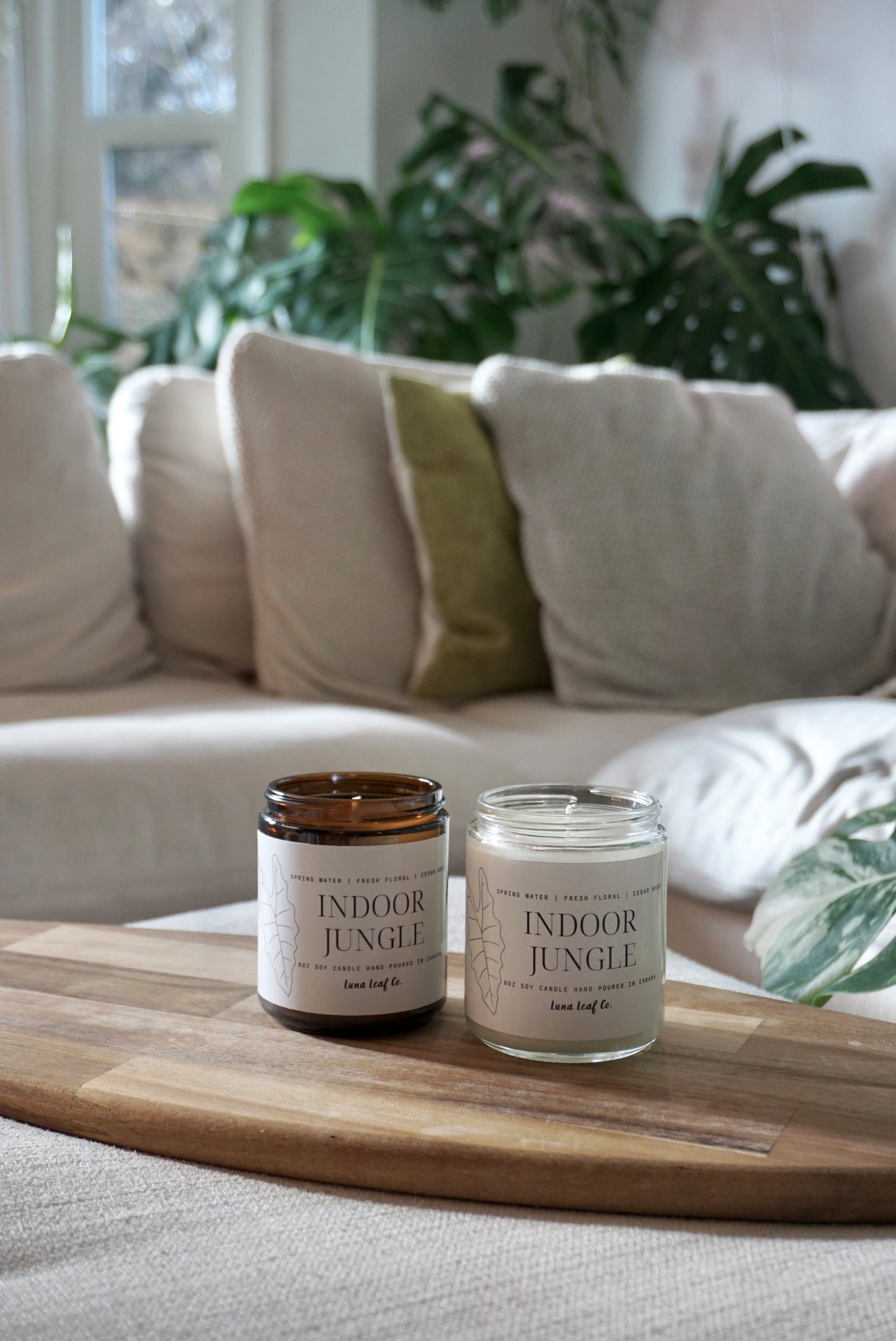 Indoor Jungle Soy Candle
