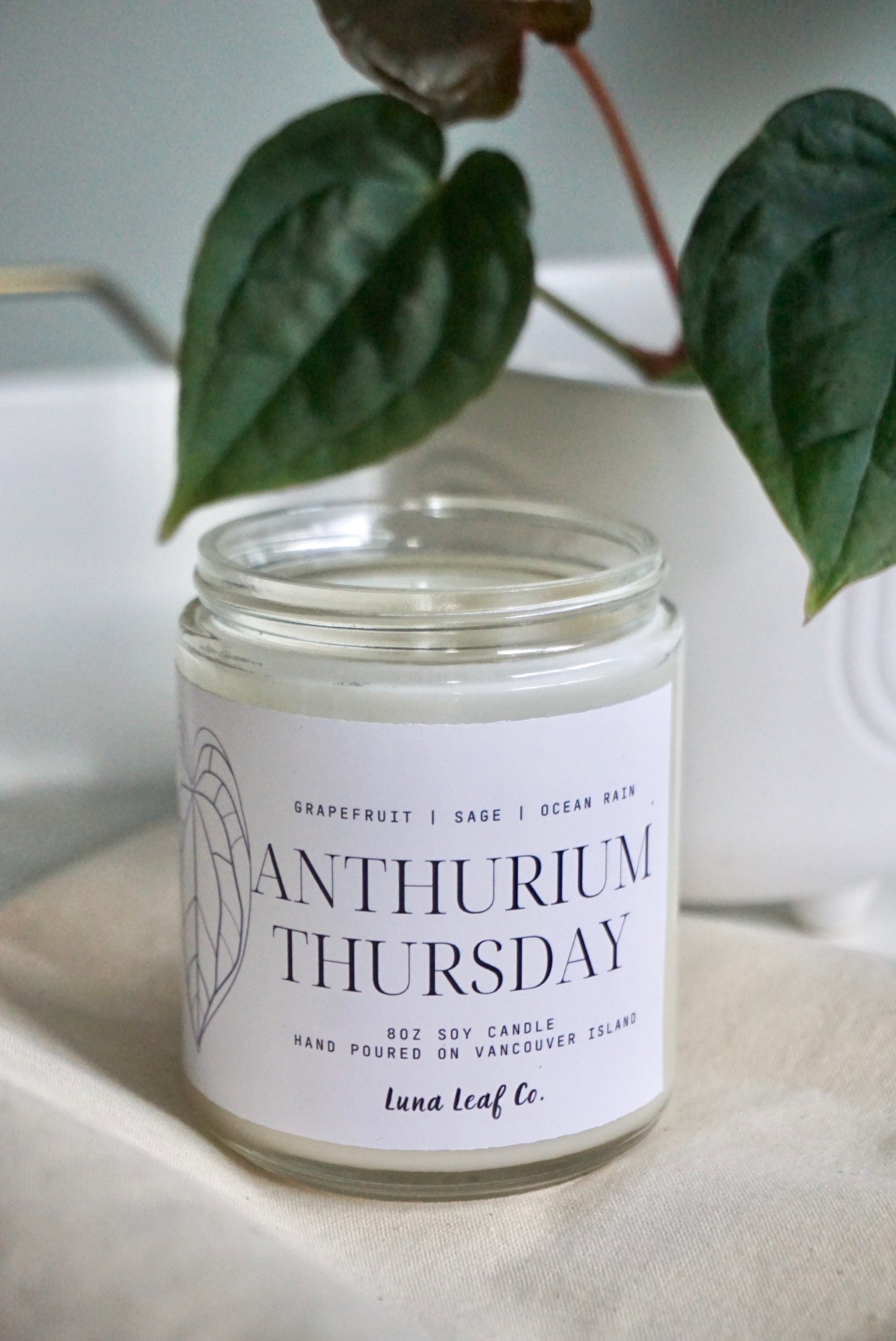 Anthurium Thursday Soy Candle
