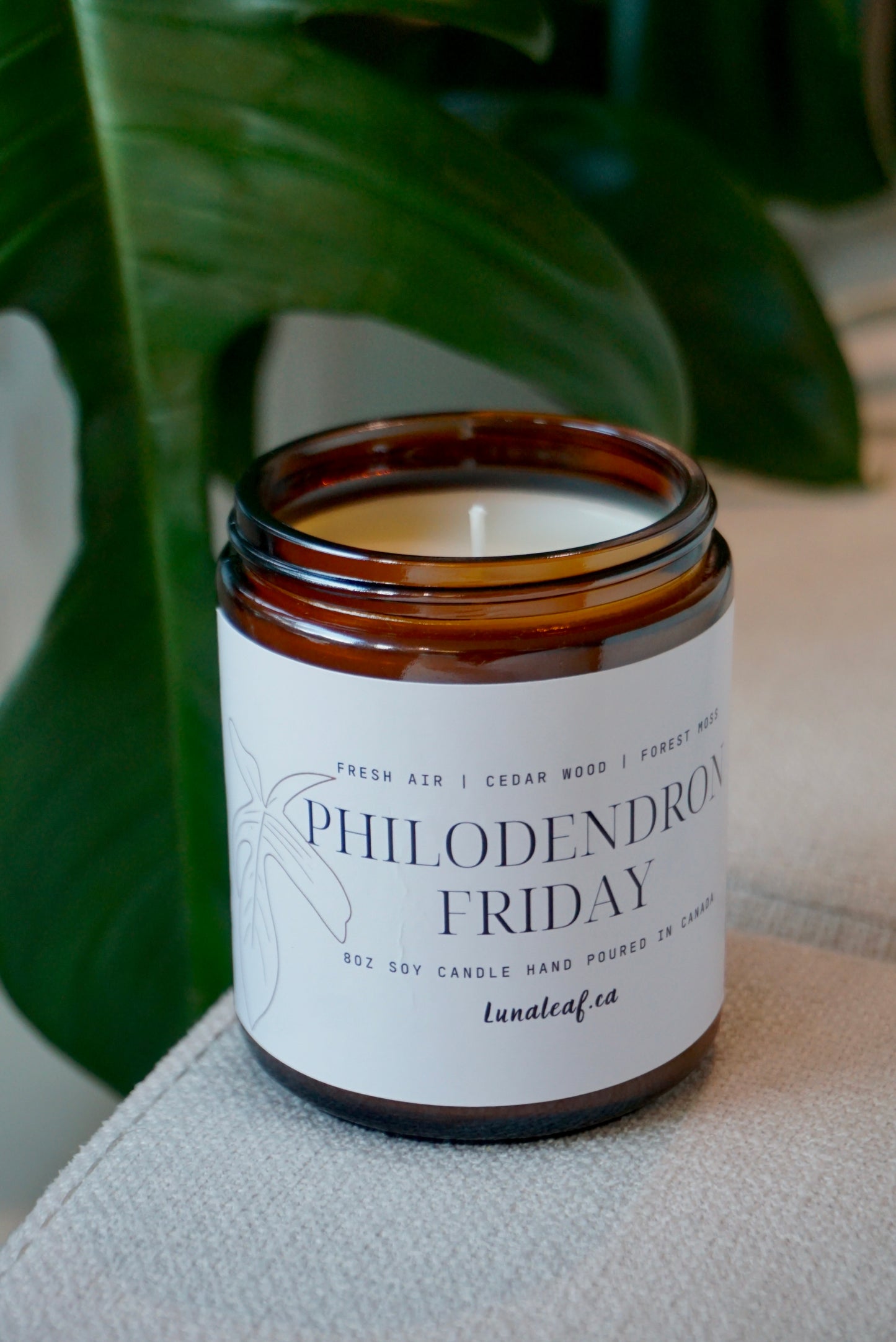 Philodendron Friday Soy Candle