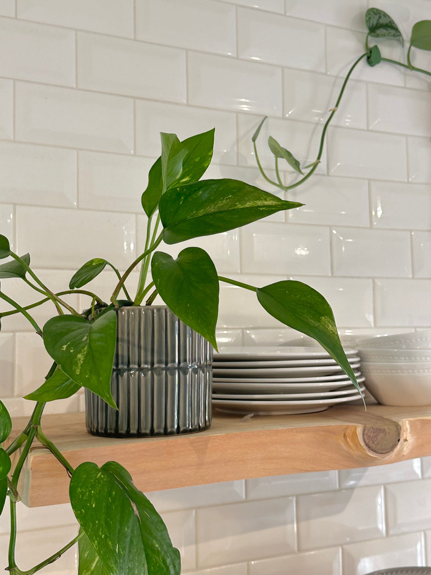 Horizon Slate Grey Planters