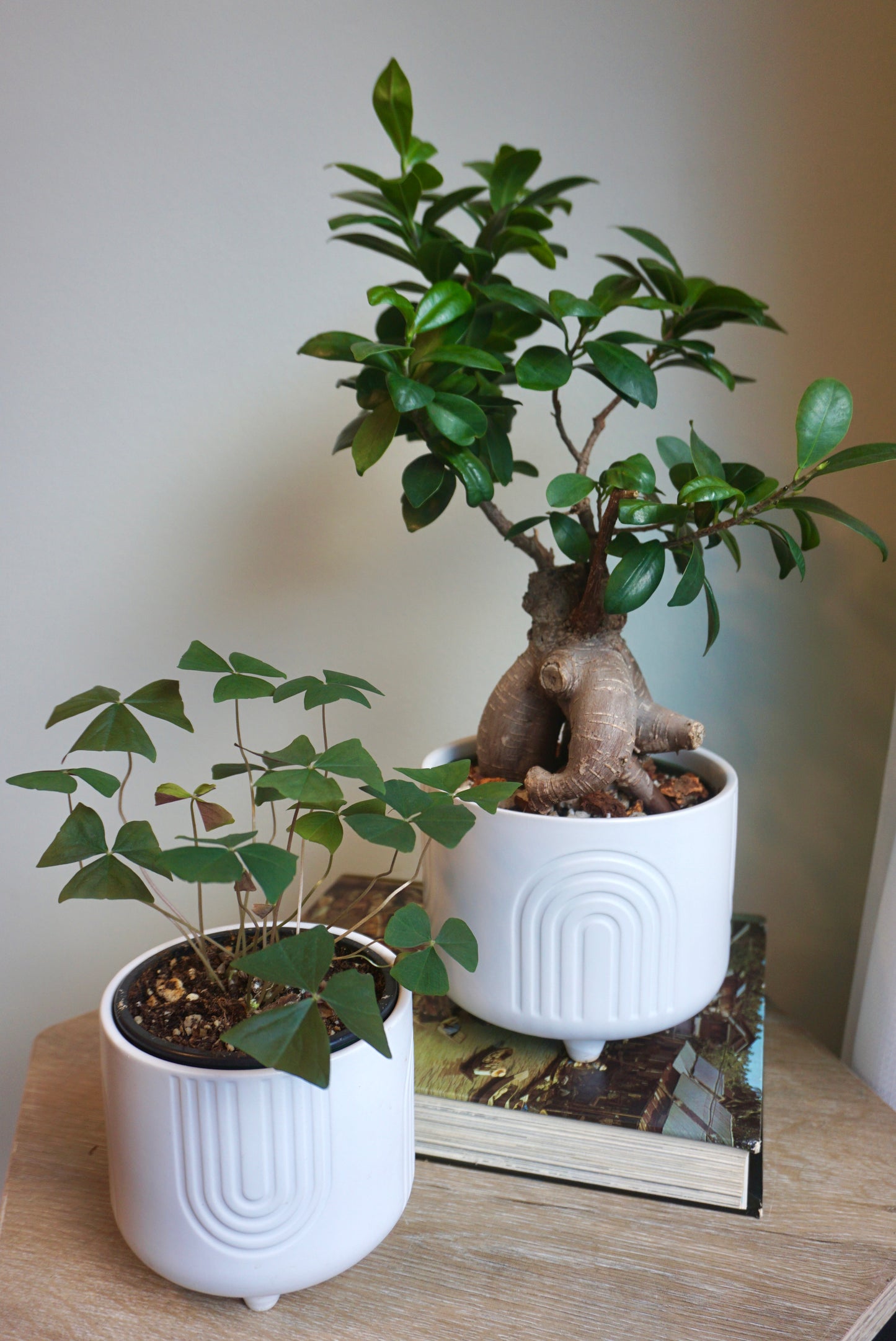 White Rainbow Footed Planter - 4.75" & 6"