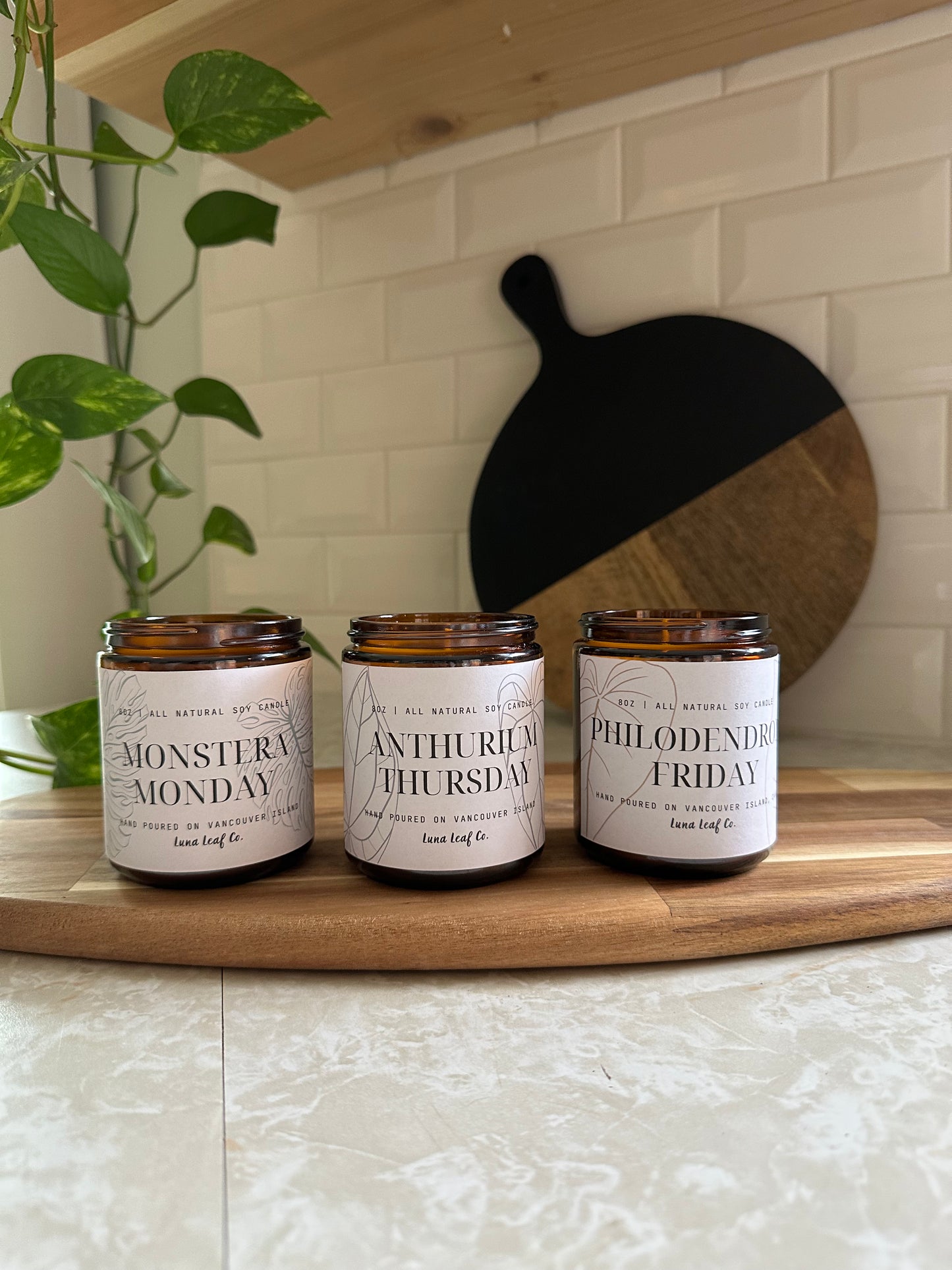 Anthurium Thursday Soy Candle