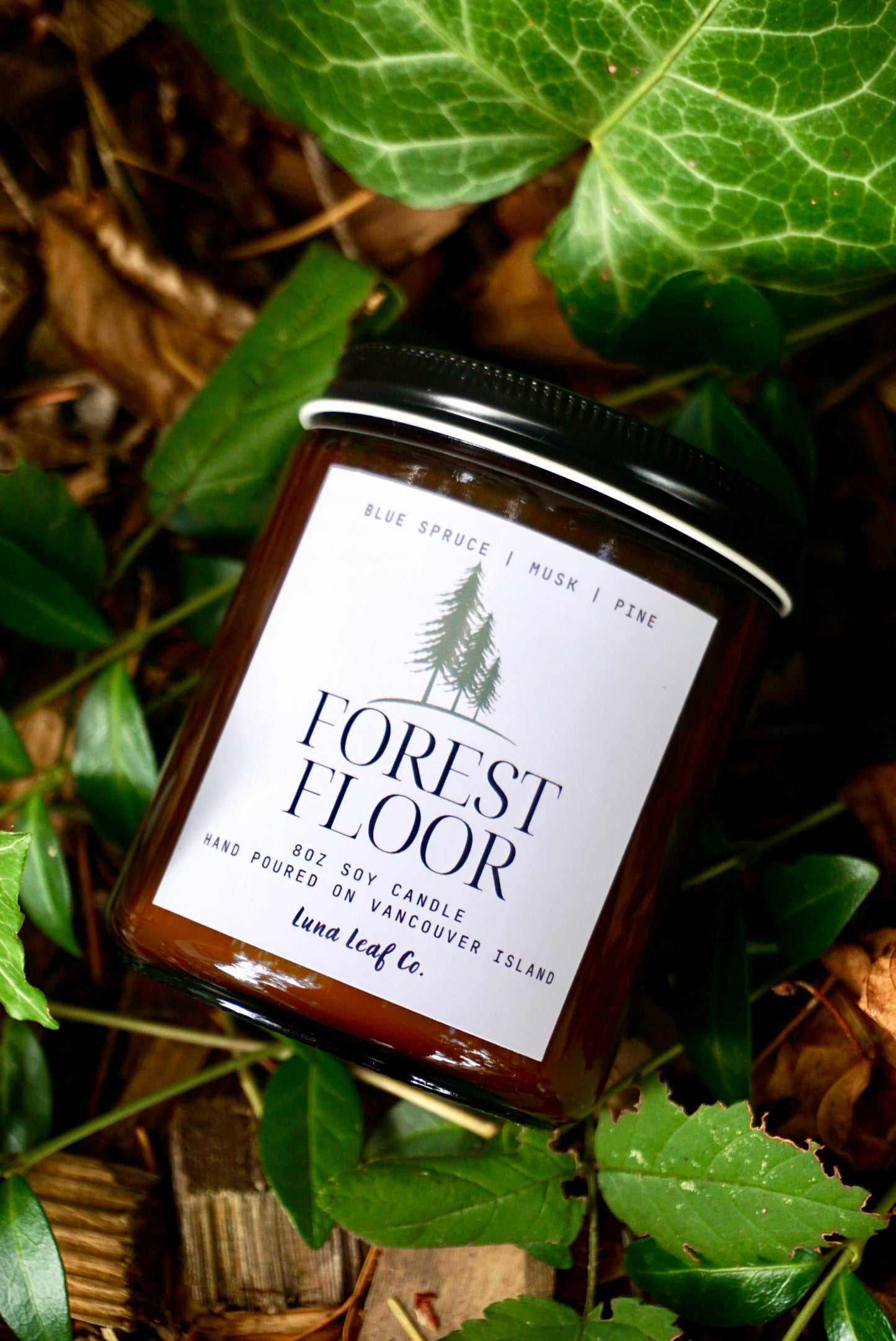 Forest Floor Soy Candle