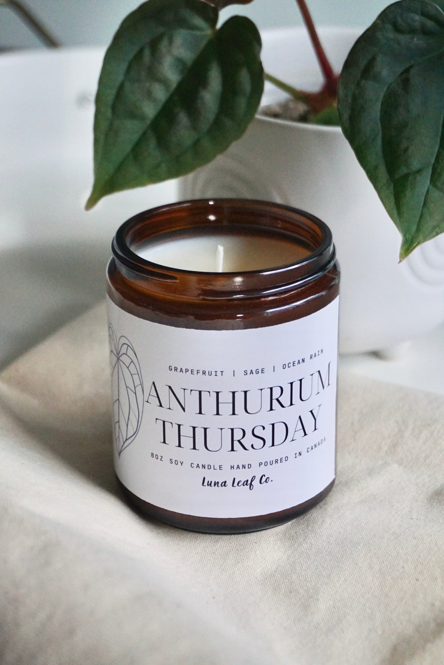 Anthurium Thursday Soy Candle