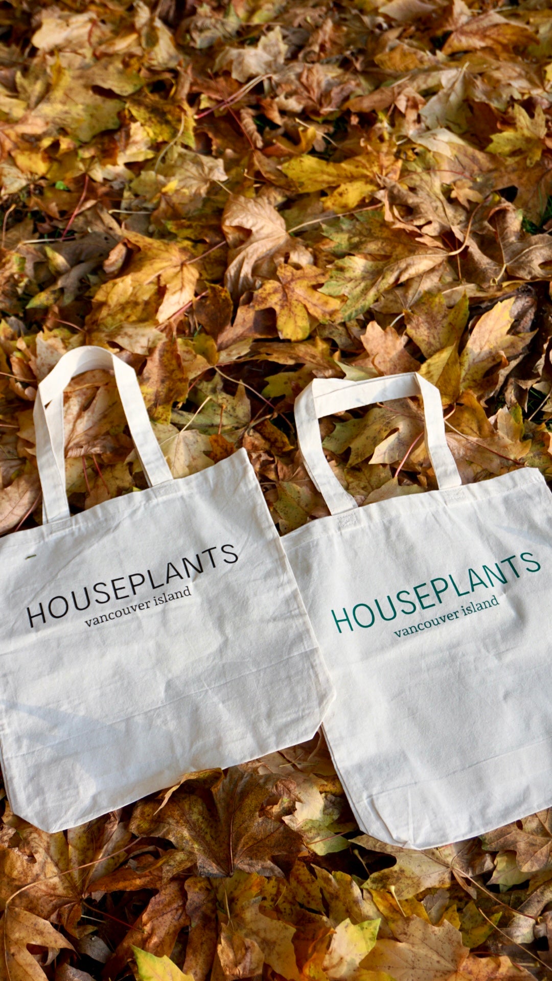 Houseplants VI Tote