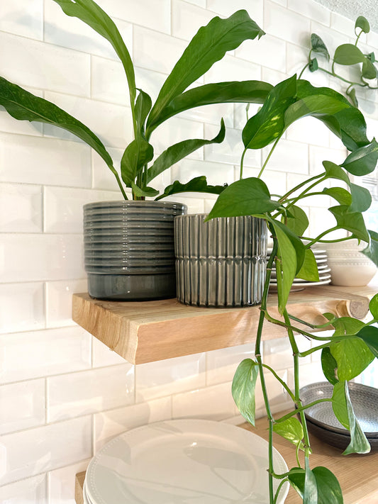 Horizon Slate Grey Planters