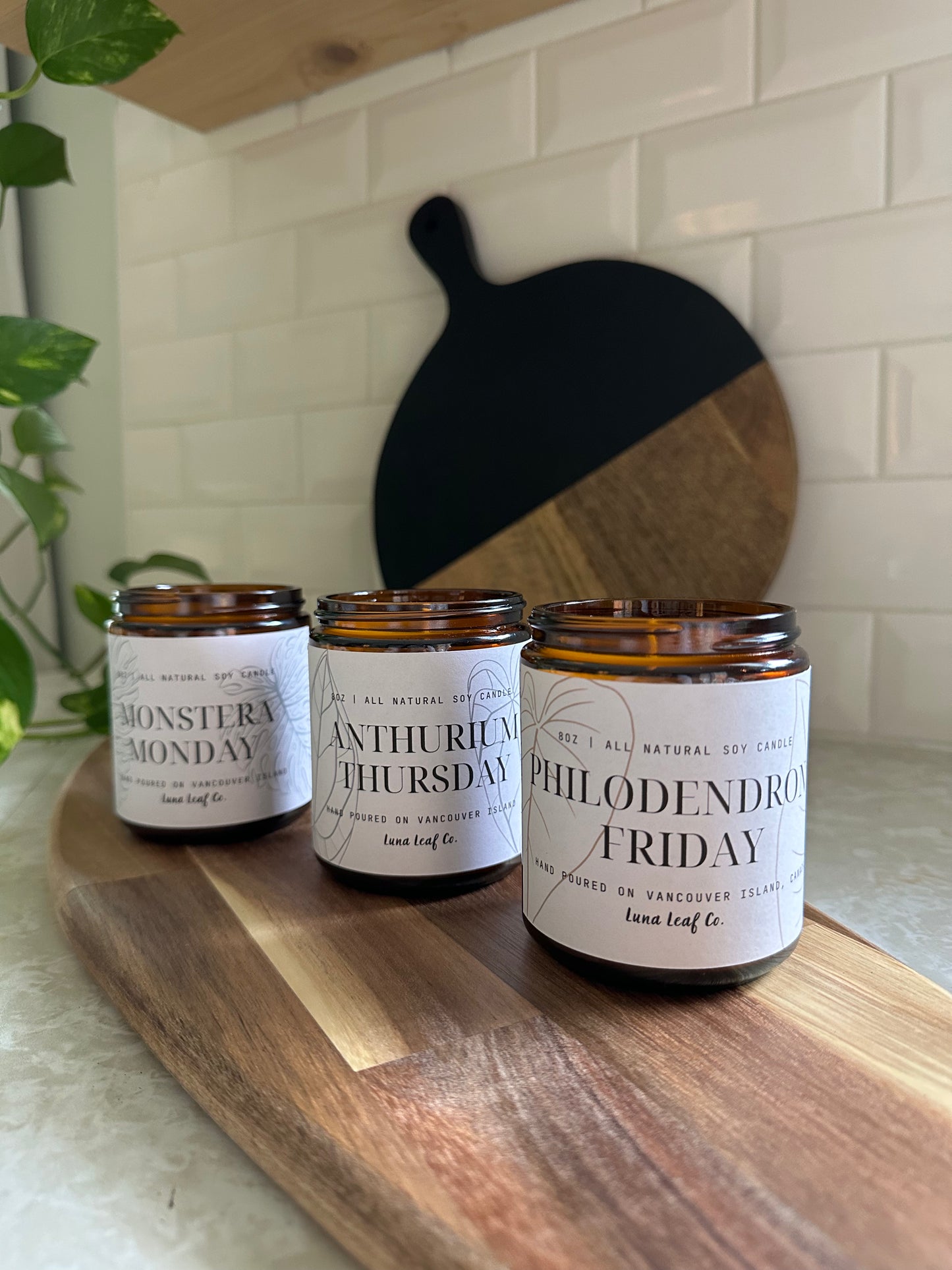 Anthurium Thursday Soy Candle