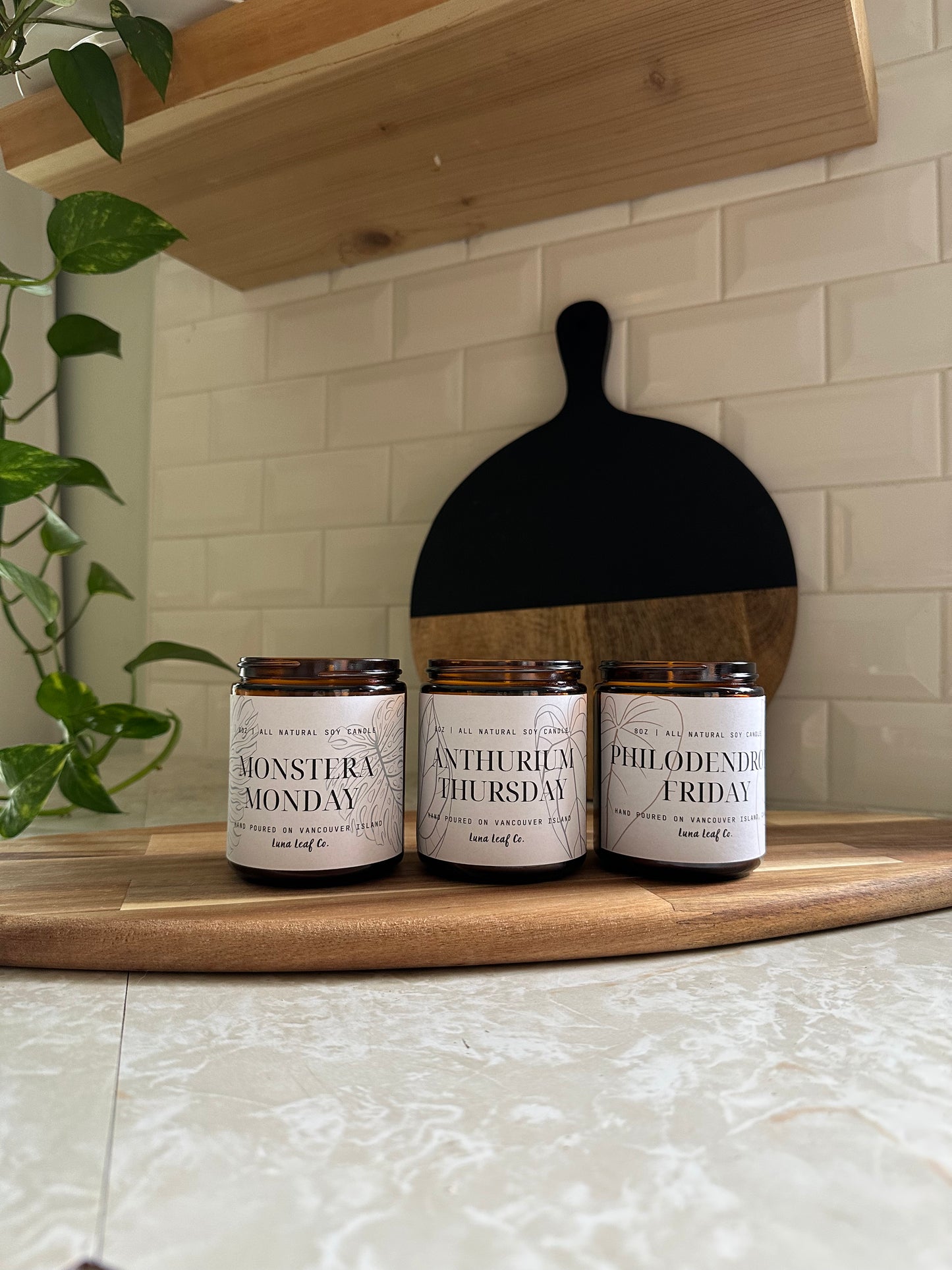 Philodendron Friday Soy Candle