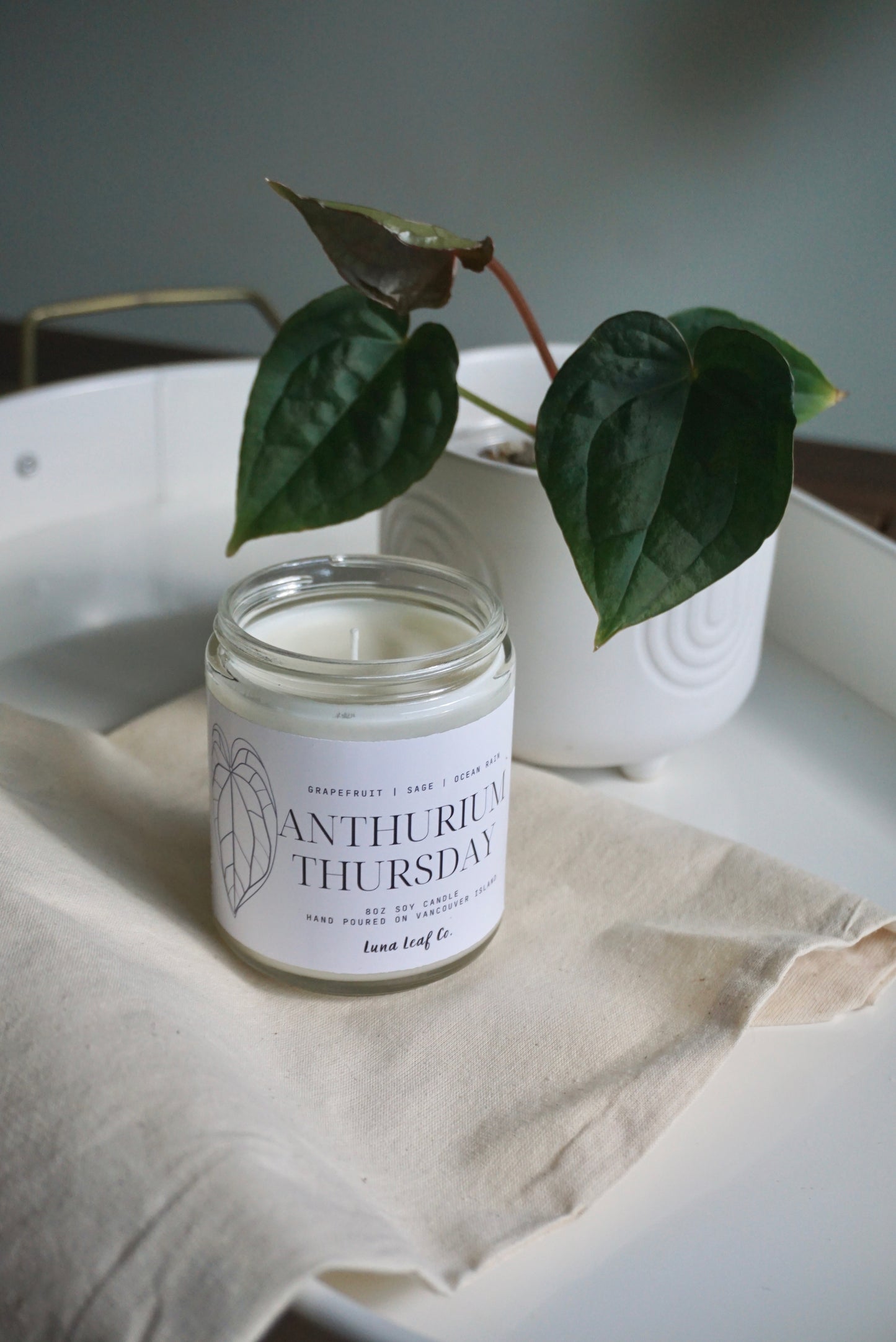 Anthurium Thursday Soy Candle