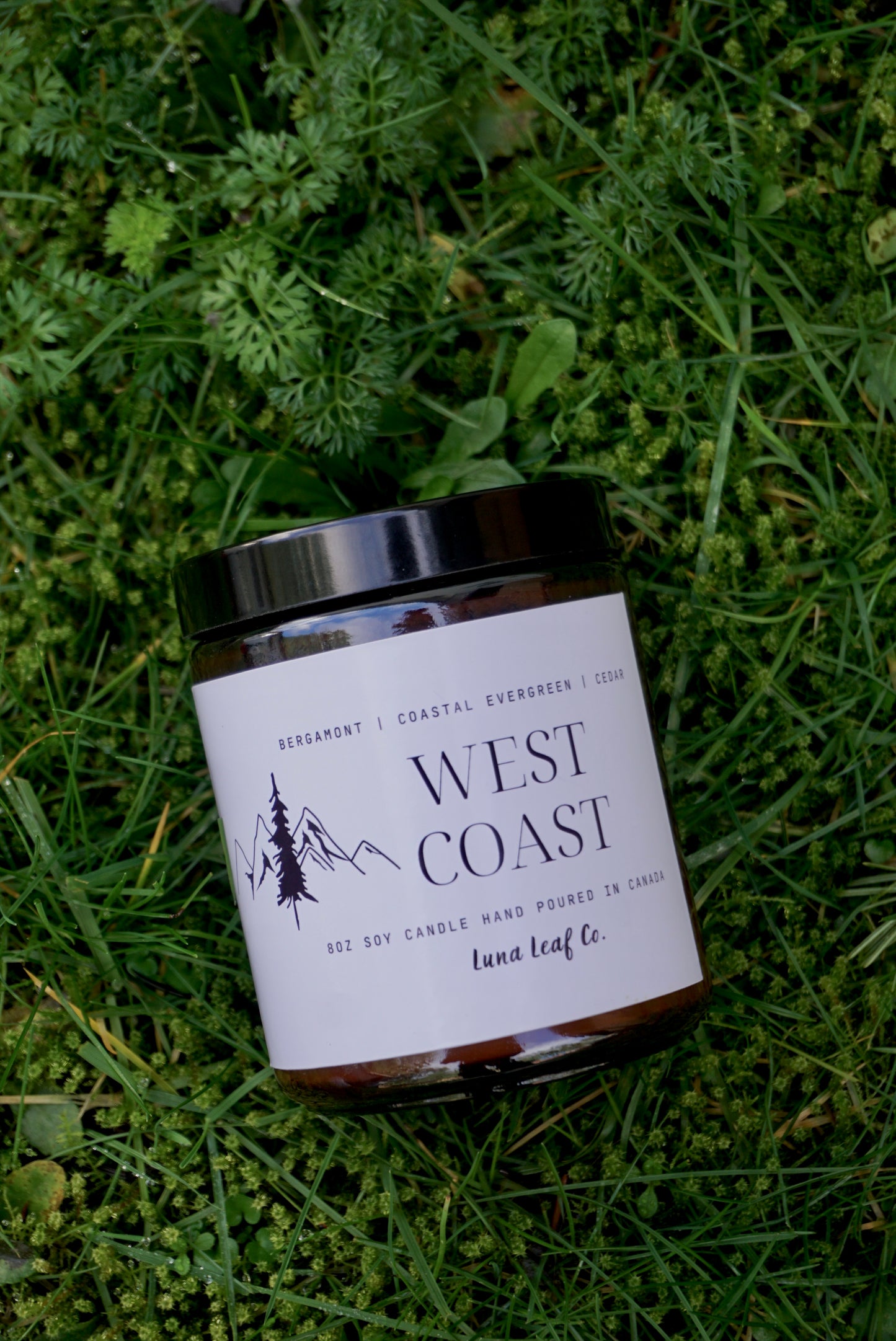 West Coast Soy Candle