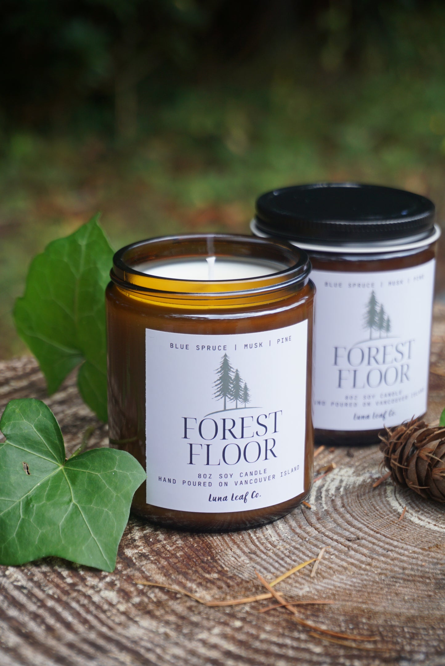 Forest Floor Soy Candle