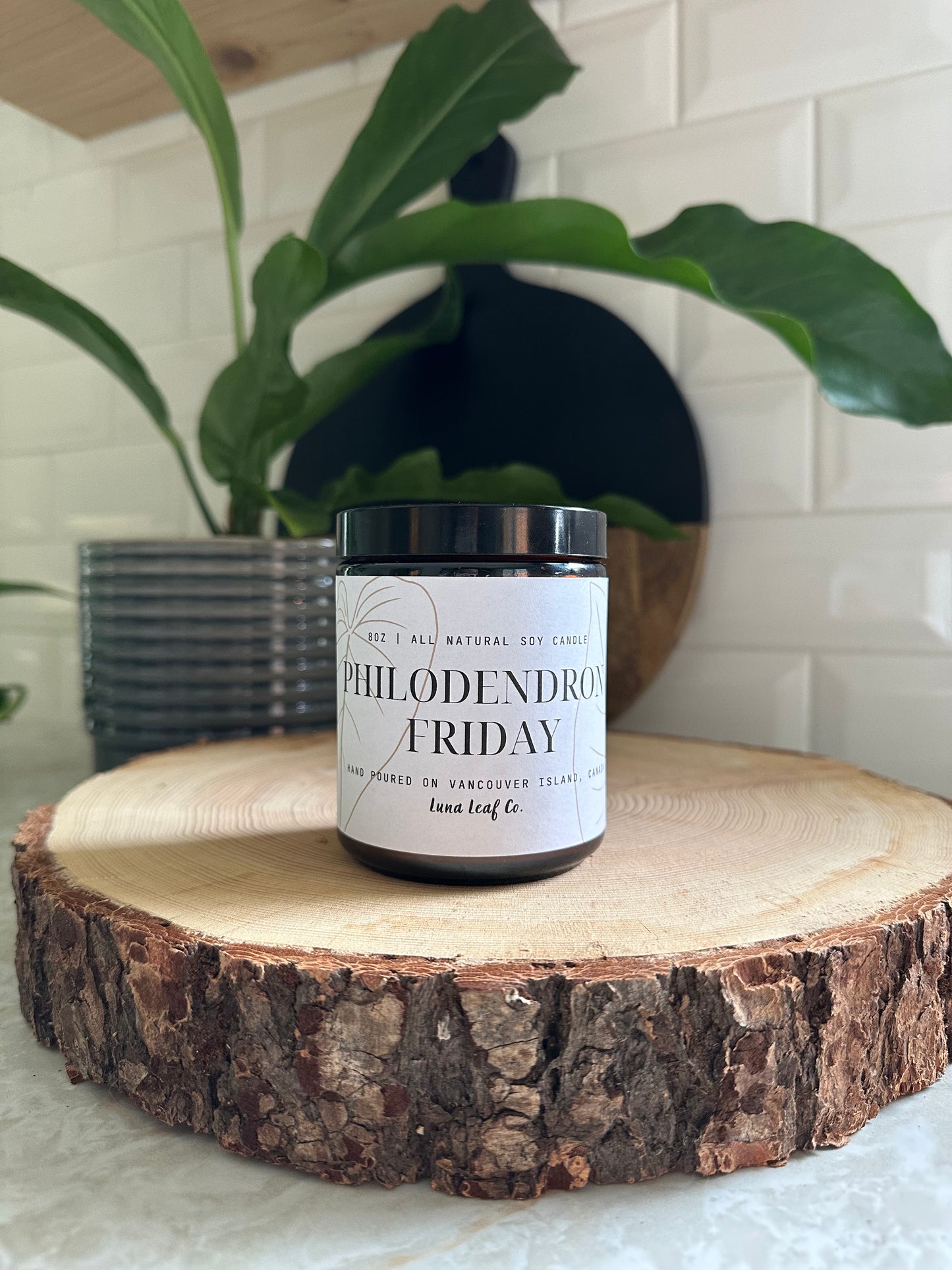 Philodendron Friday Soy Candle