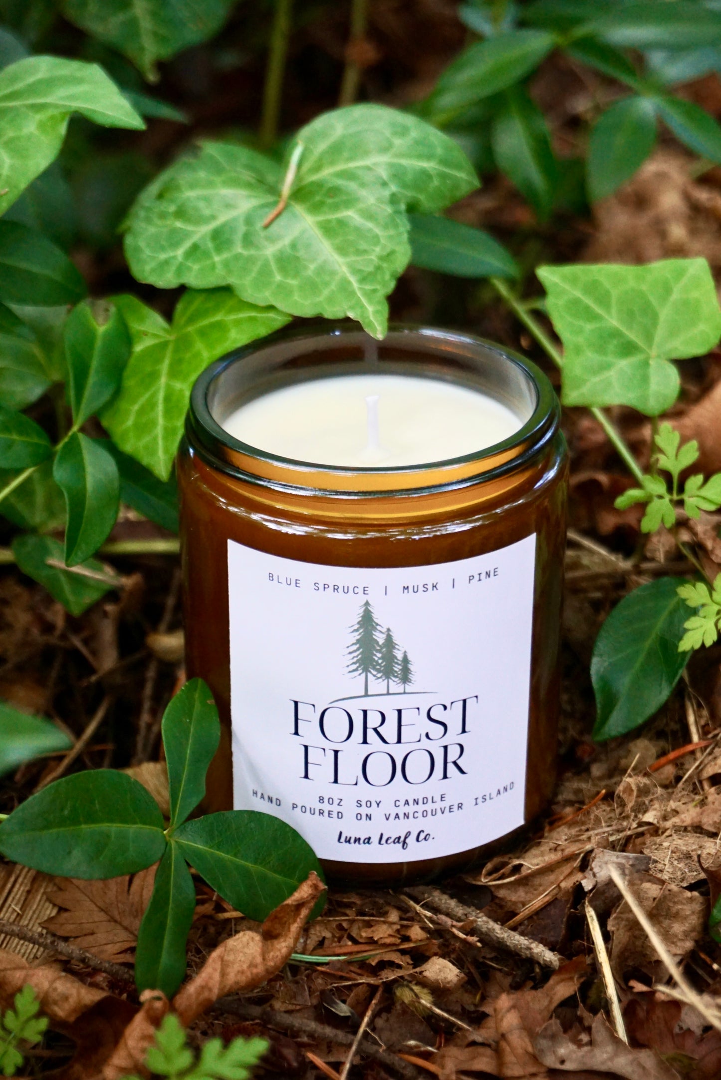 Forest Floor Soy Candle