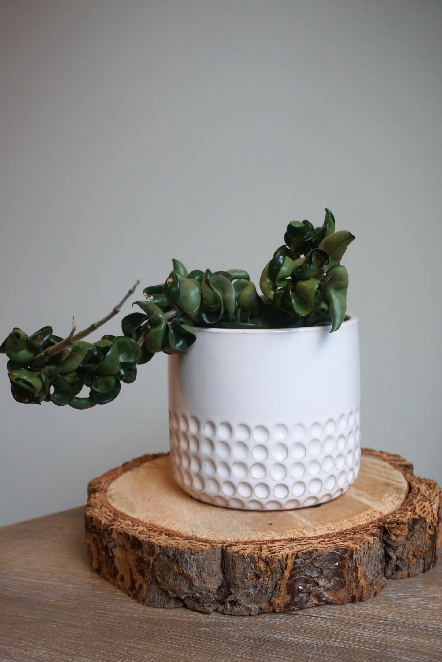 Drulon Ivory Pots (5.5” & 6.7”)