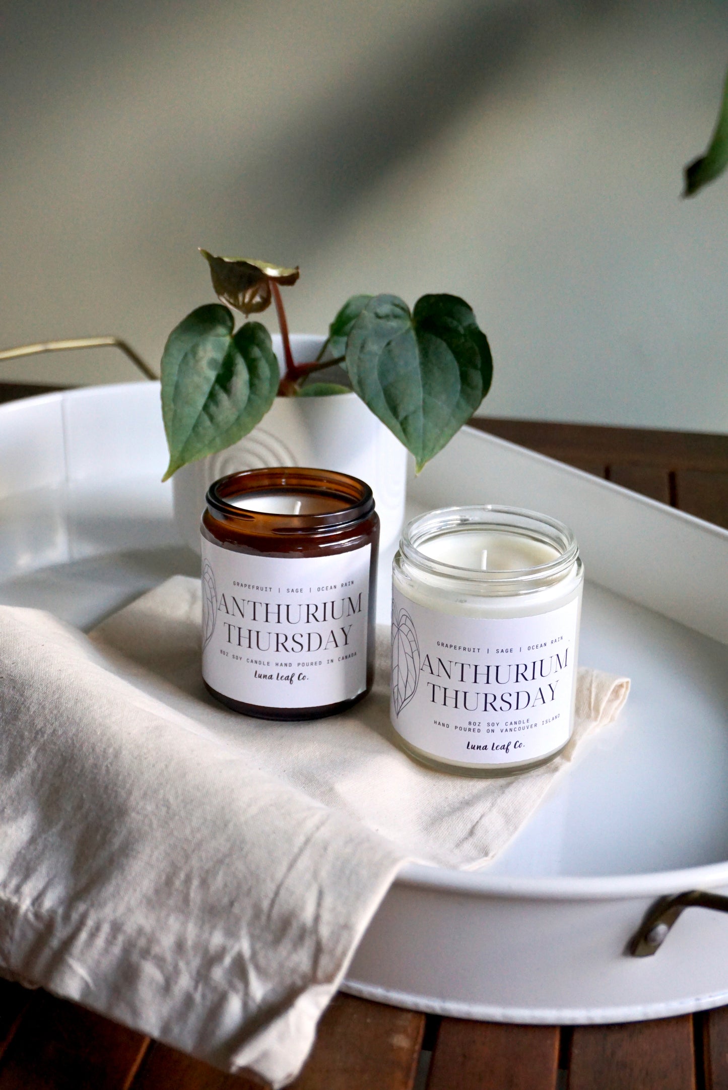 Anthurium Thursday Soy Candle