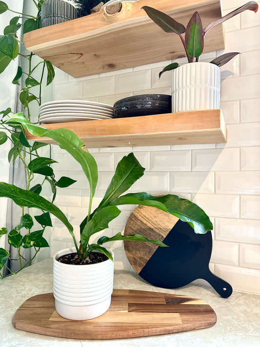 Horizon Bright White Planters