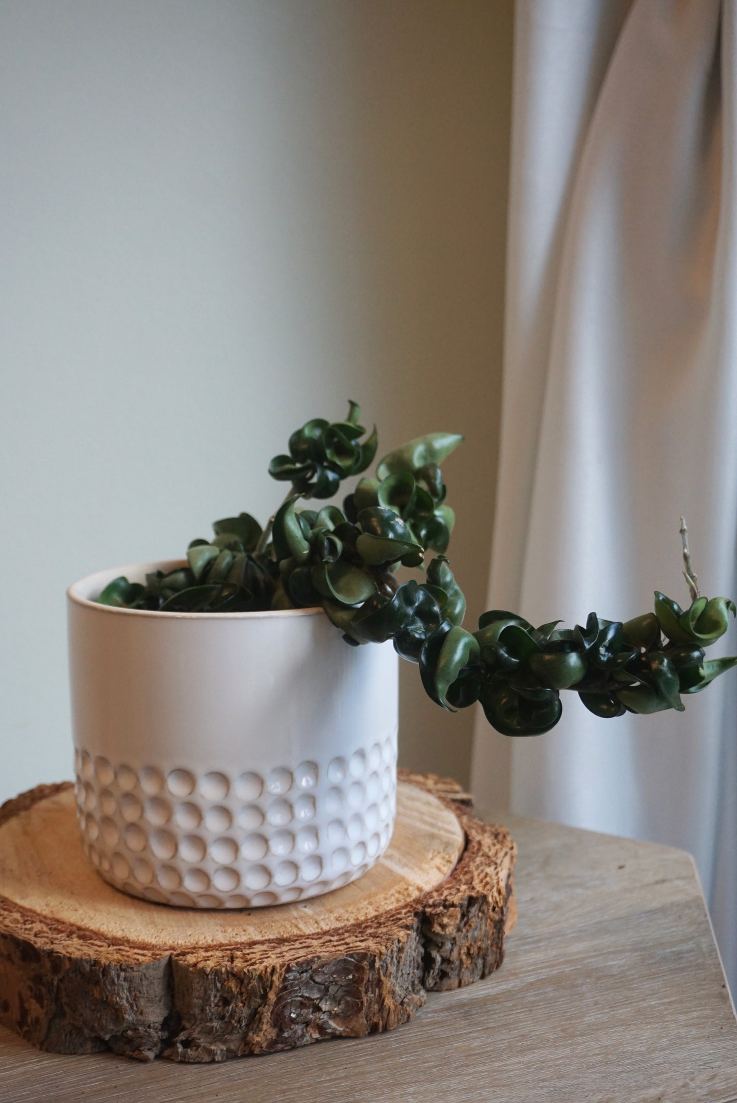 Drulon Ivory Pots (5.5” & 6.7”)