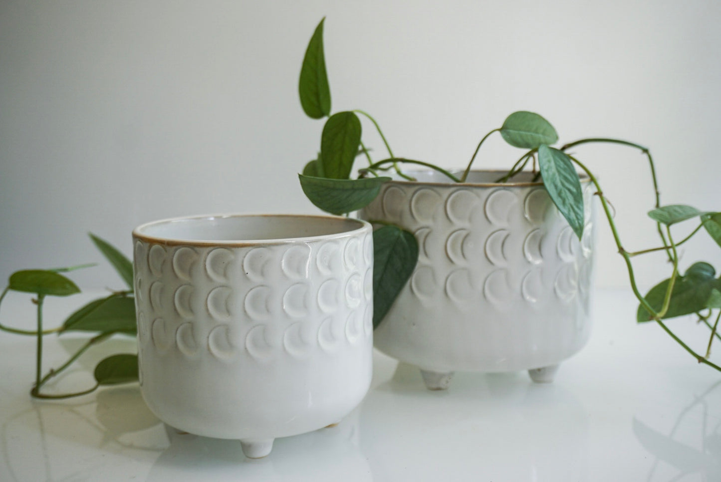 Ivory Moon Phase Footed Planter - 4.75" & 6"