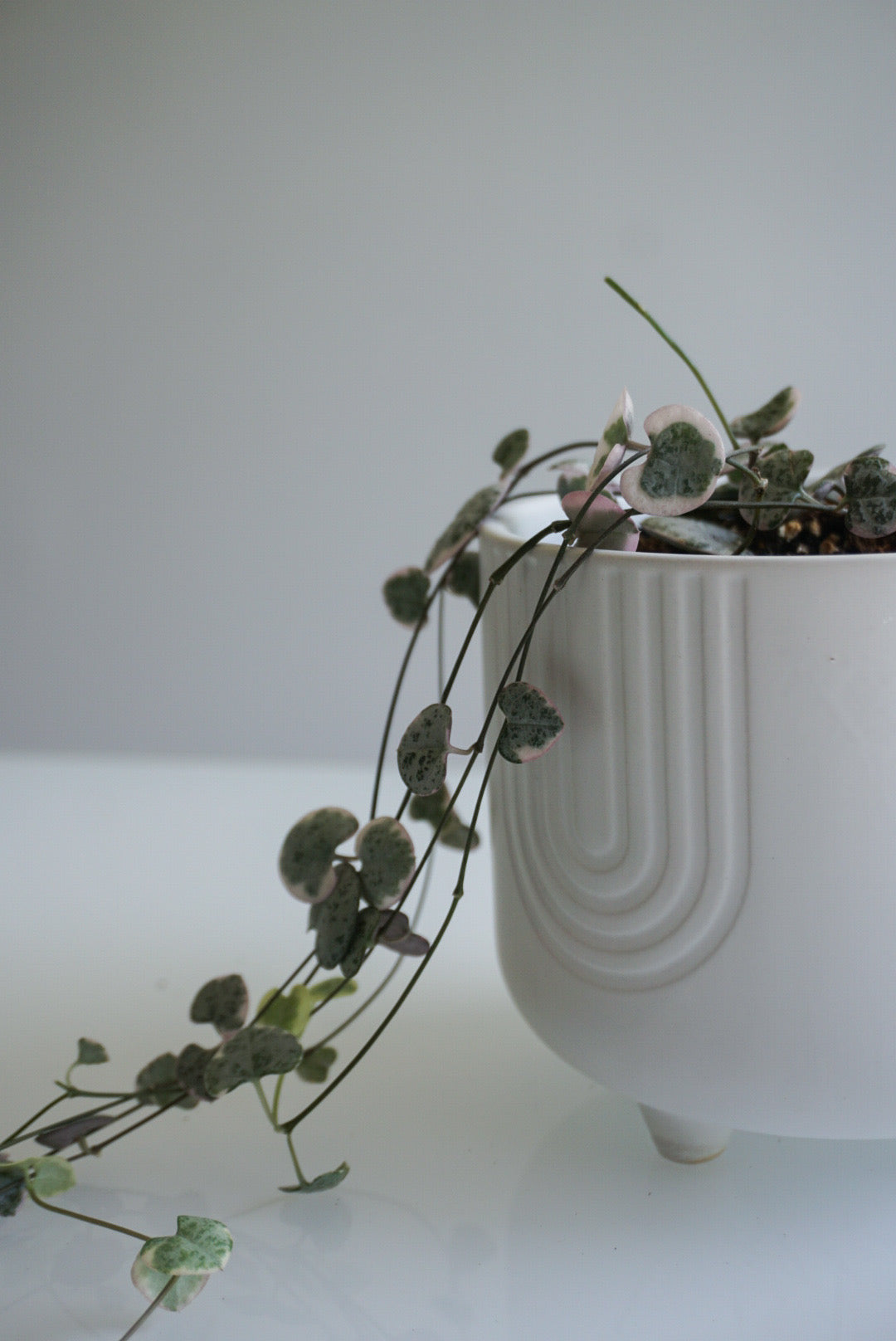 White Rainbow Footed Planter - 4.75" & 6"