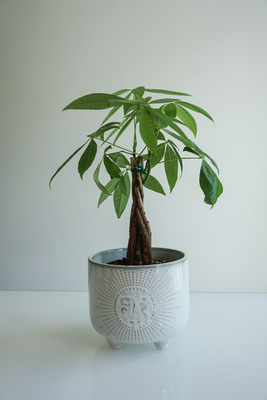 Ivory Sunny Footed Planter- 4.75" & 6"