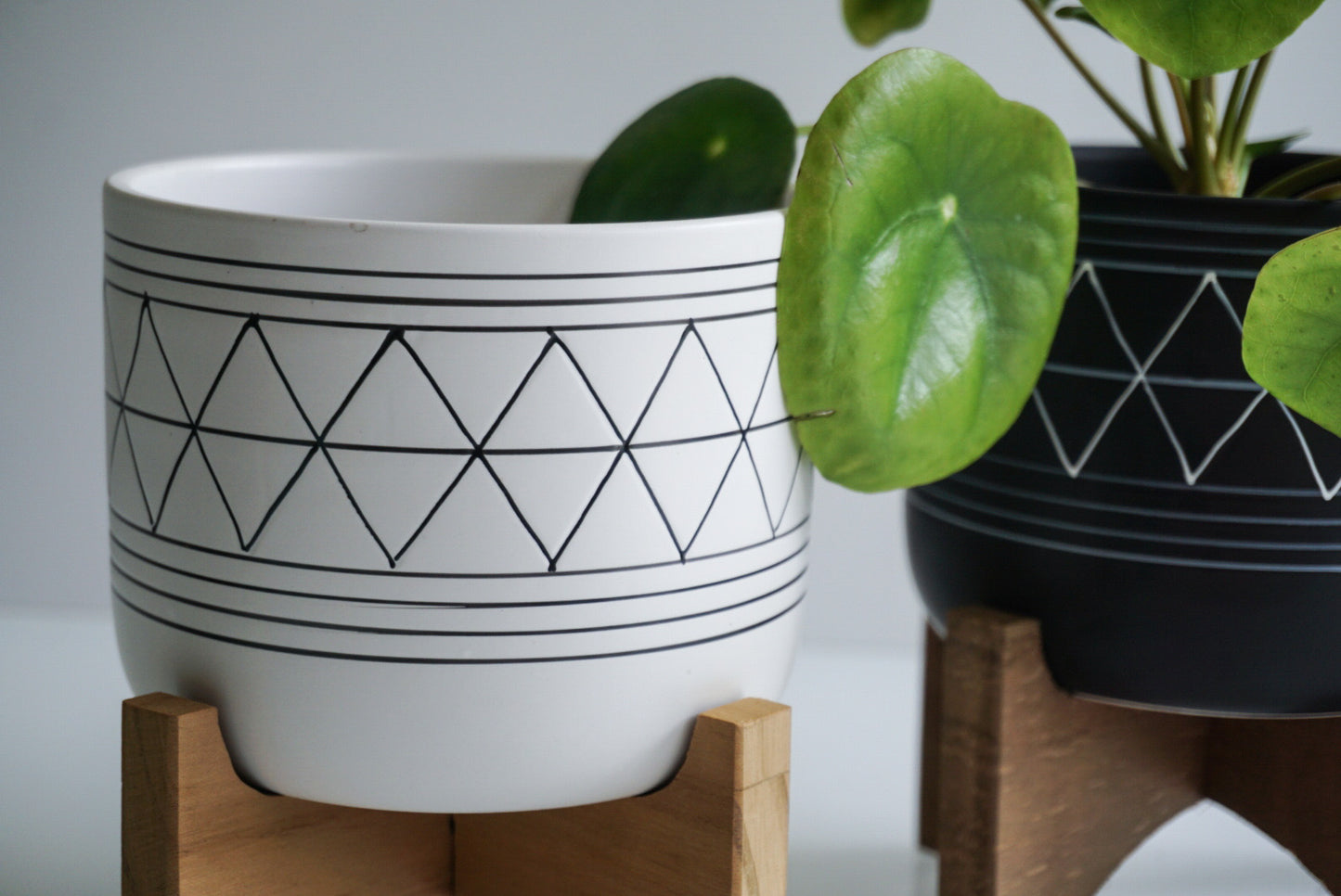 Geo Planter with Stand- 5"