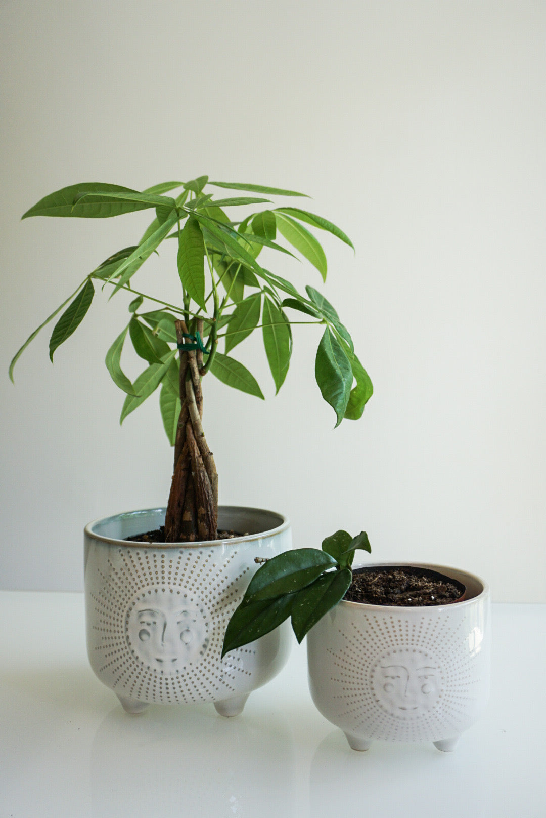 Ivory Sunny Footed Planter- 4.75" & 6"