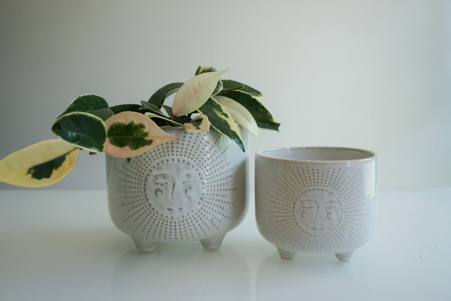 Ivory Sunny Footed Planter- 4.75" & 6"