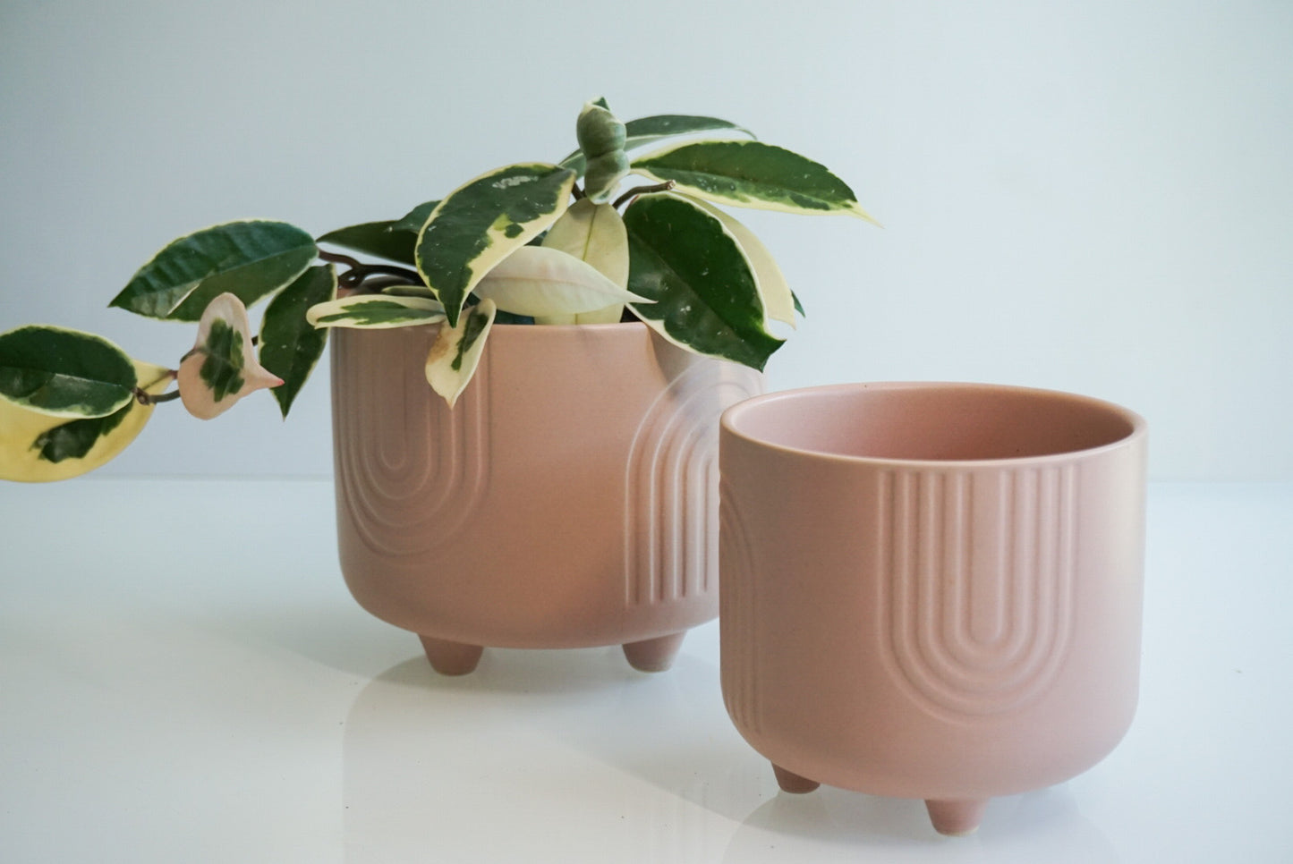 Peach Rainbow Footed Planter - 4.75" or 6"