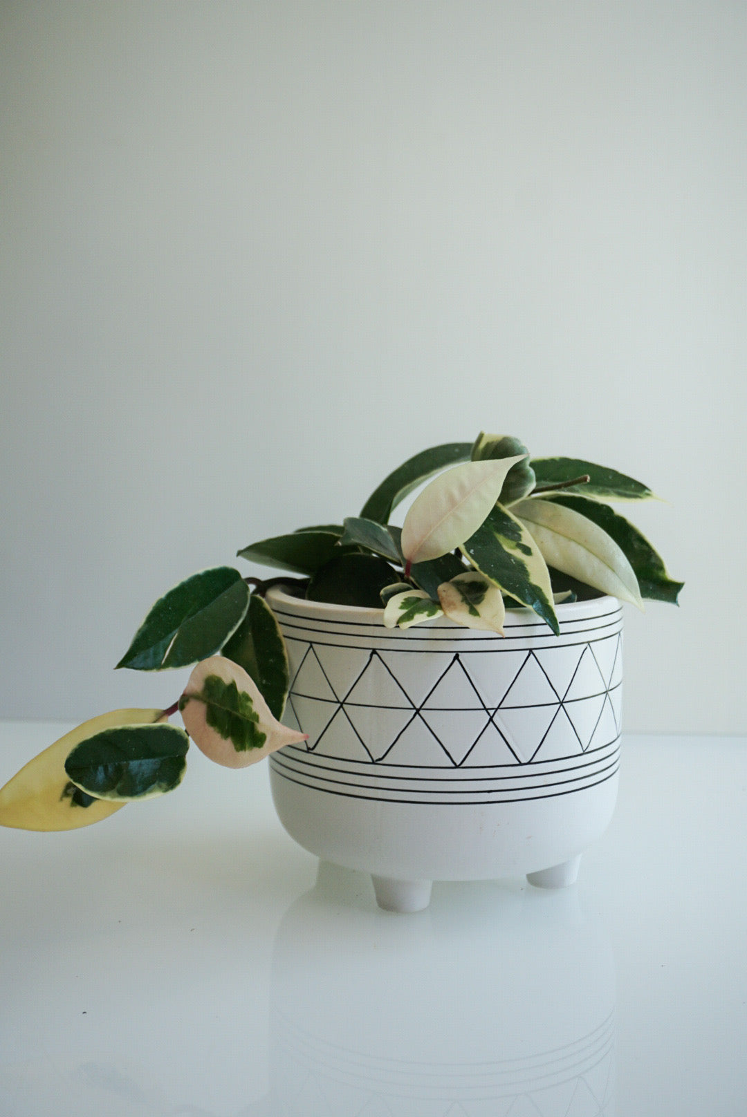 White Geo Footed Planter - 4.75" & 6"