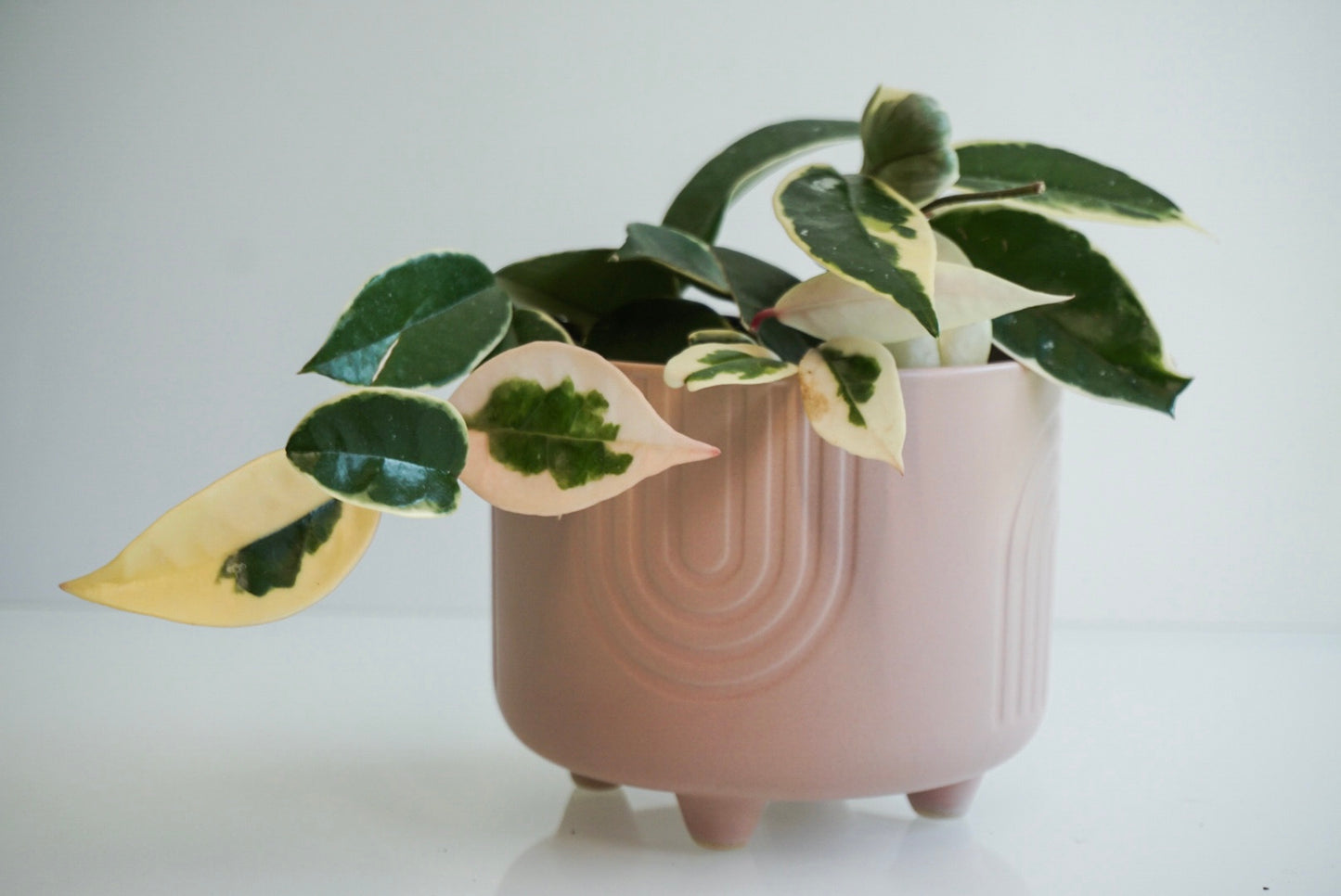 Peach Rainbow Footed Planter - 4.75" or 6"