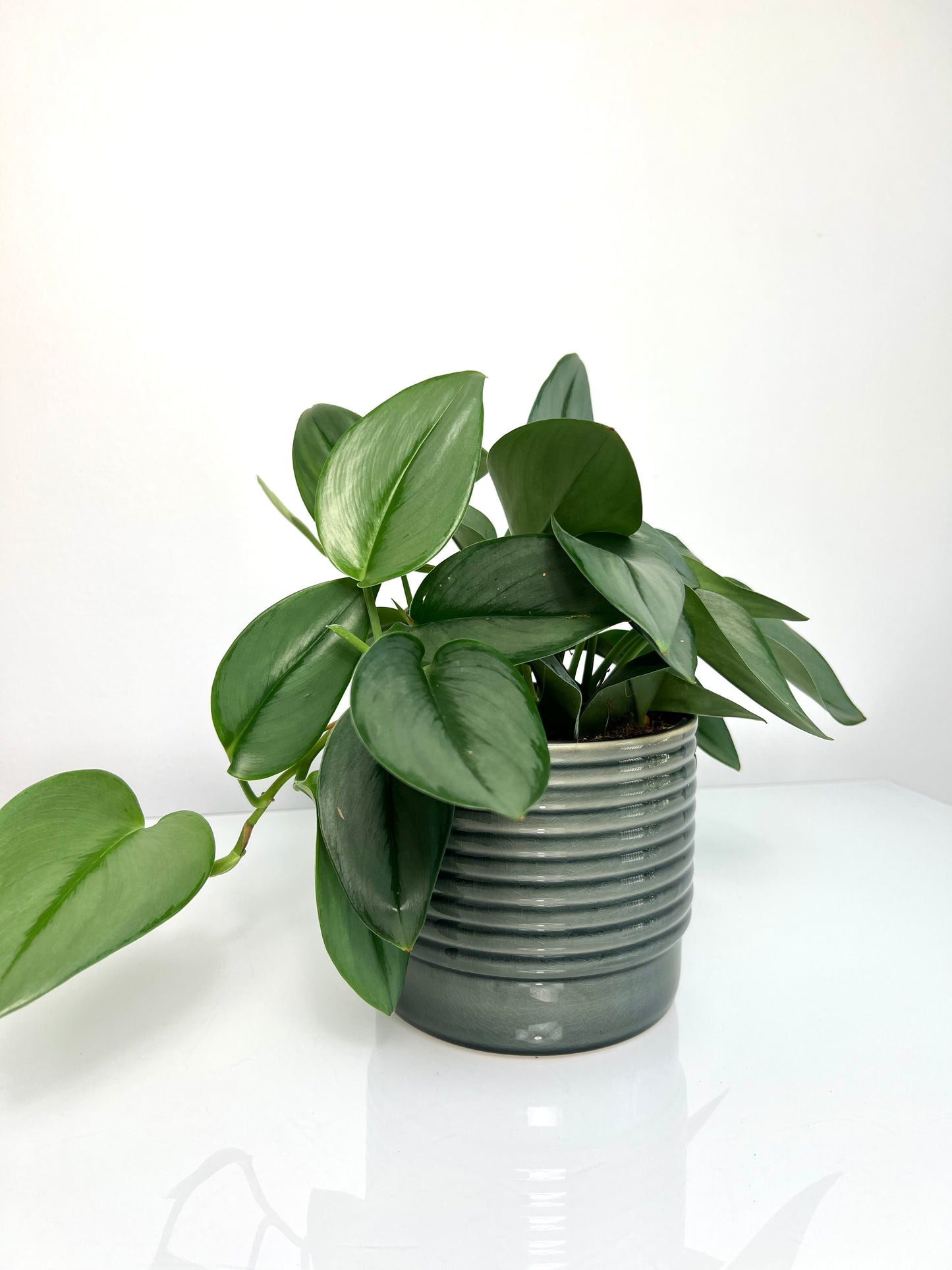 Horizon Slate Grey Planters