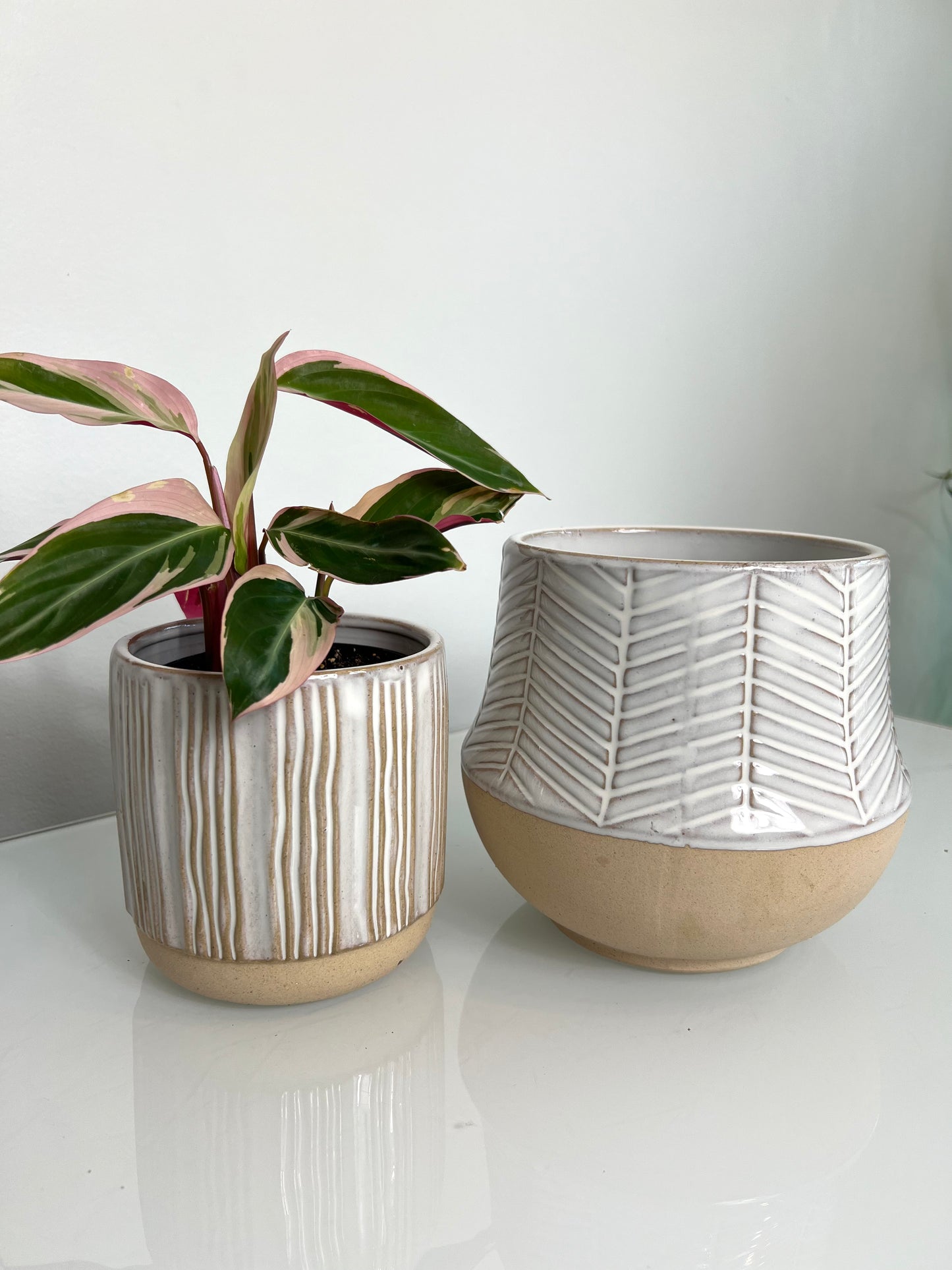 Bella Sandy Beige Pots (4.6" & 5.7")