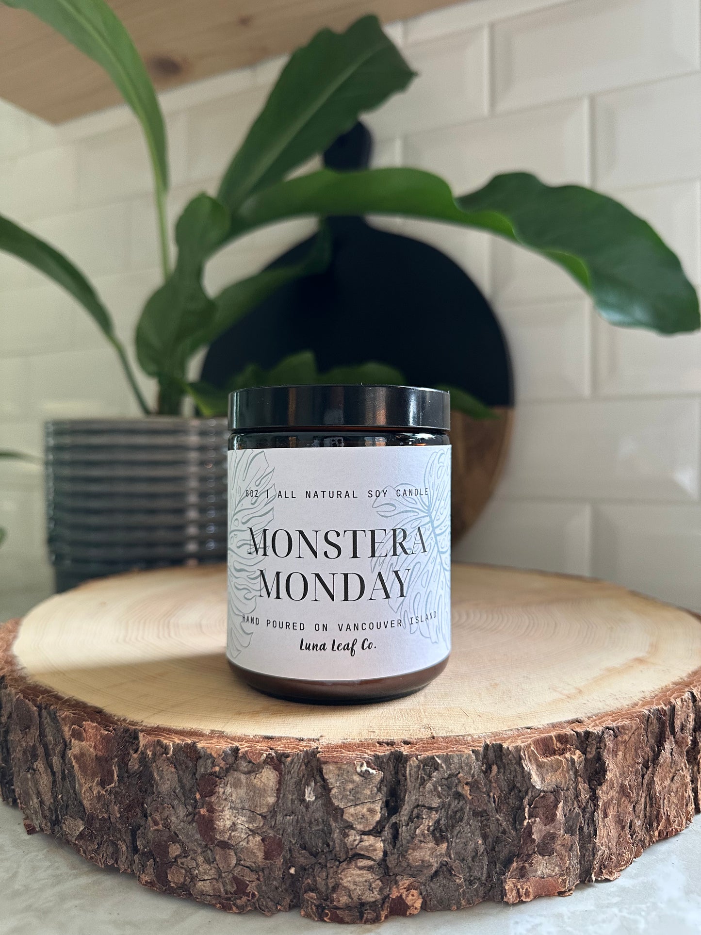 Monstera Monday Soy Candle