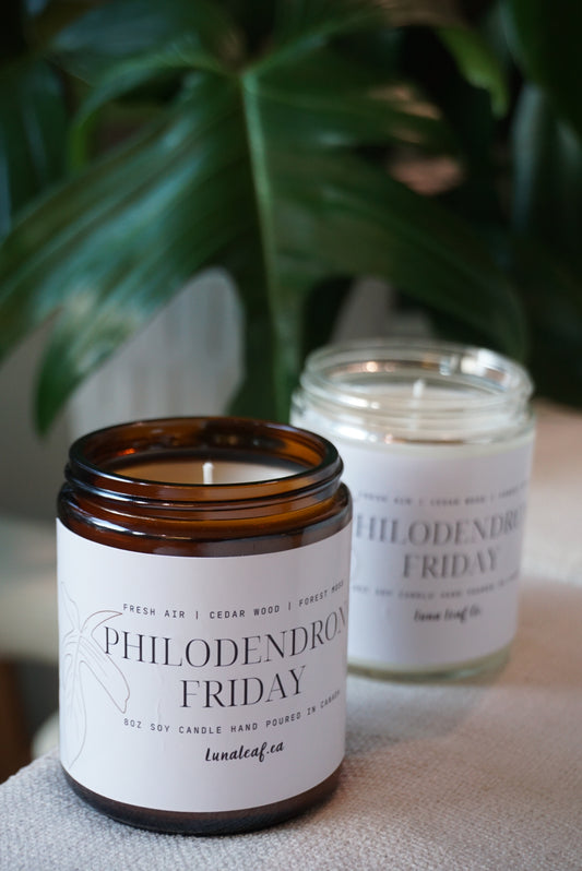 Philodendron Friday Soy Candle