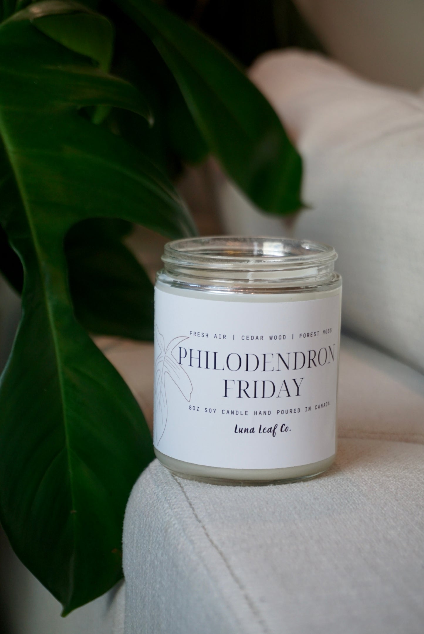 Philodendron Friday Soy Candle