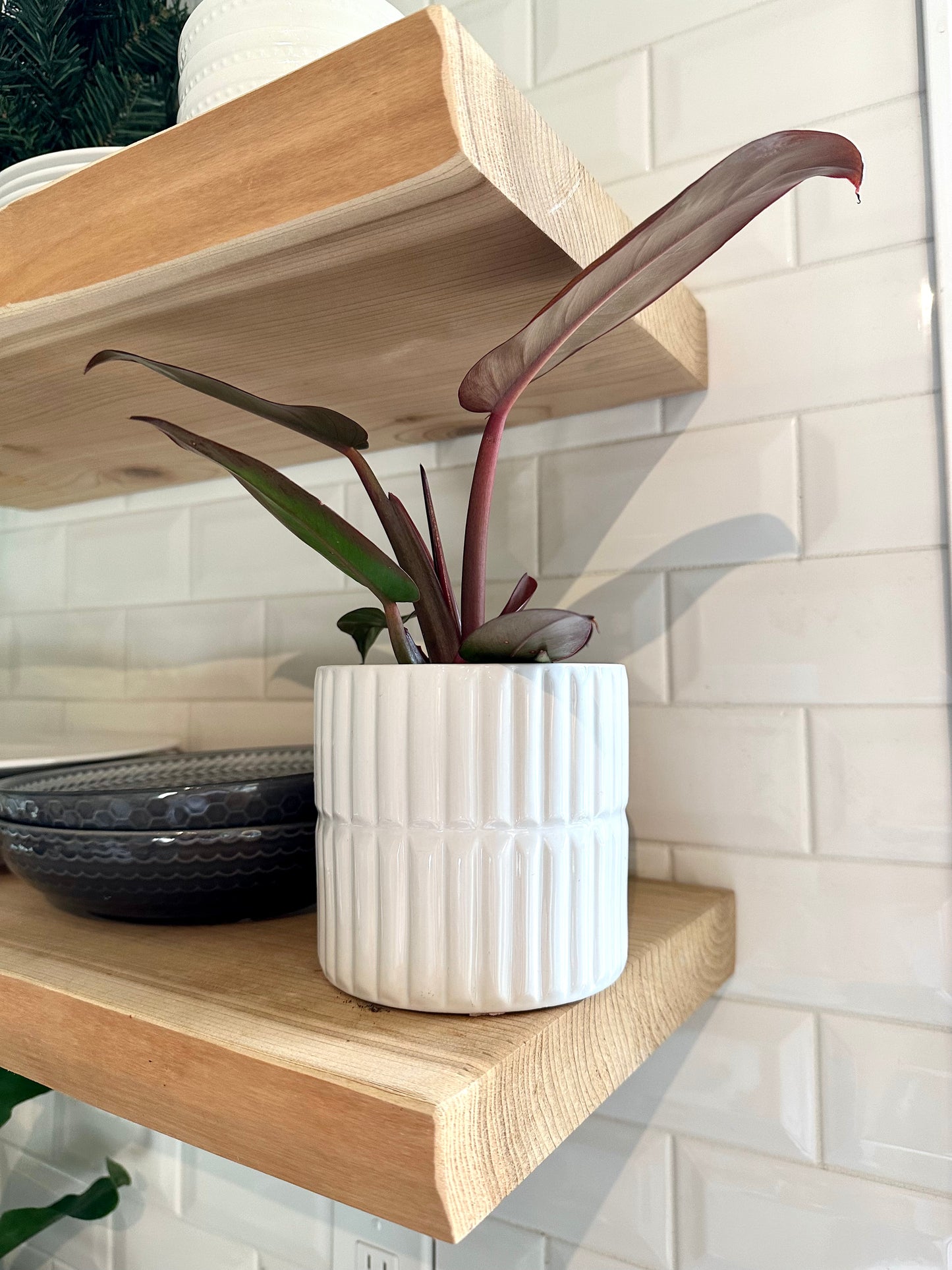 Horizon Bright White Planters