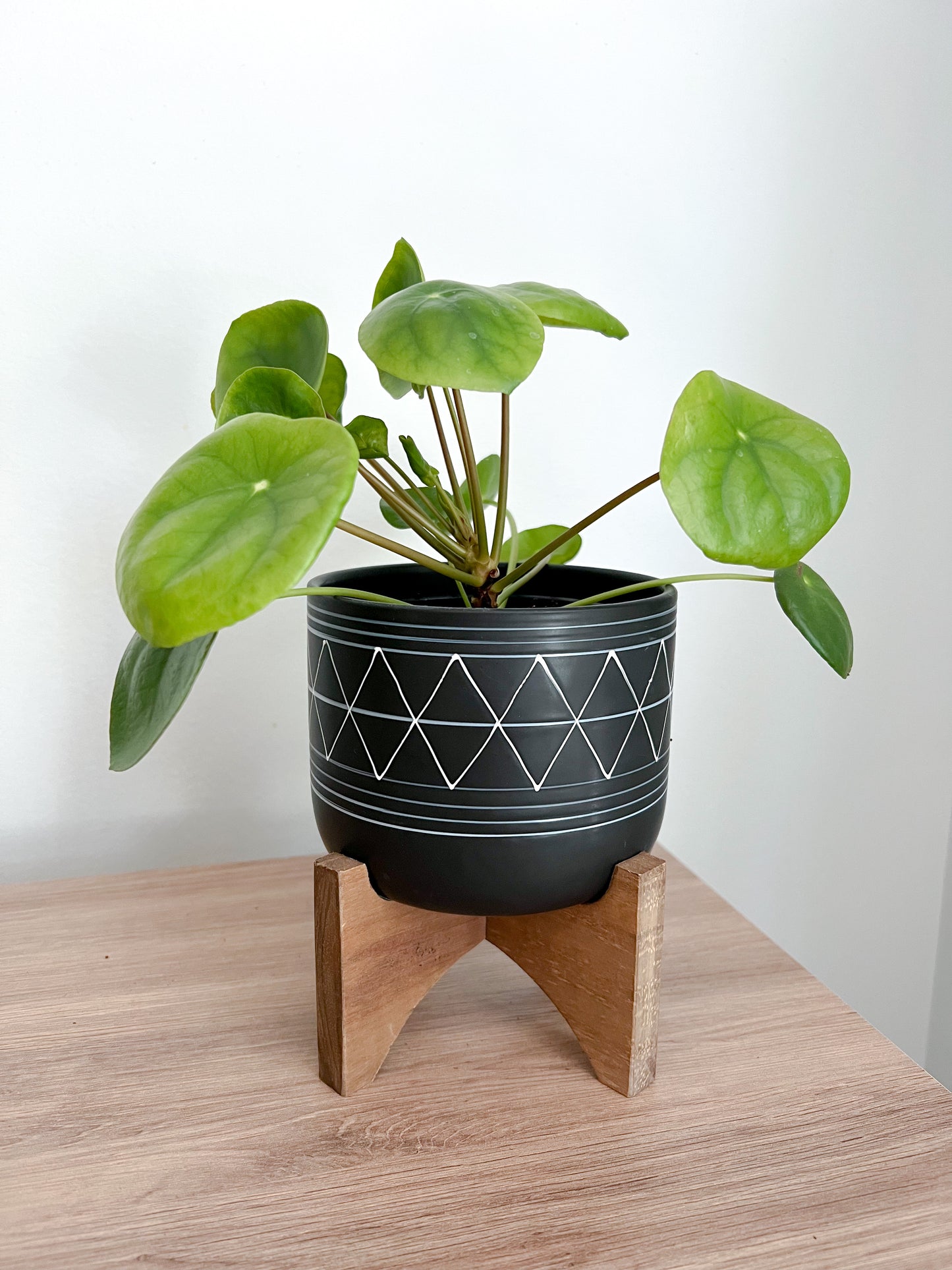 Geo Planter with Stand- 5"