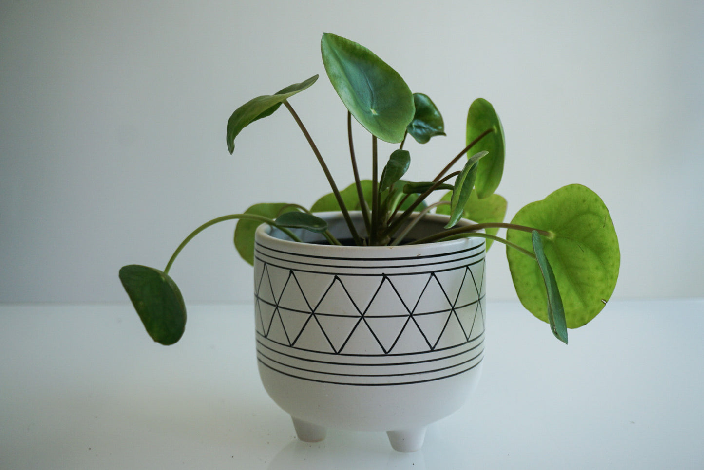White Geo Footed Planter - 4.75" & 6"